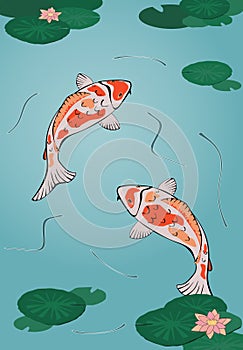 Koi pond