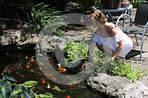 Koi Pond photo