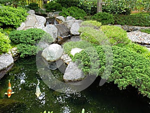 Koi pond design in Japanese friendship garden Balboa park San Diego