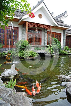 Koi pond garden