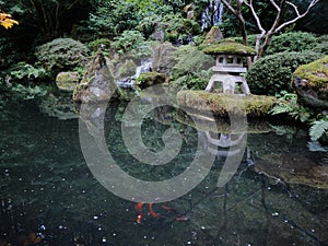 Koi pond ! Portland, Oregon, Japanese Garden