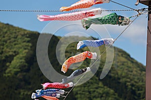 koinobori flown in the sky during children\'s day in japan