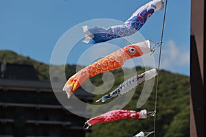 koinobori flown in the sky during children\'s day in japan