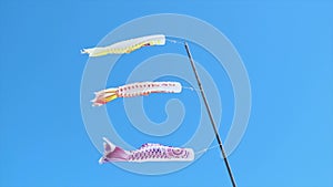 Koinobori Saifish Kite Carp windsock streamer with blue sky background