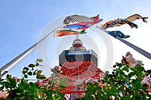 Koinobori at Tokyo Tower