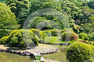 Koishikawa Botanical Garden in Tokyo, Japan. The gardens date to 1684, when the 5th Tokugawa shogun,