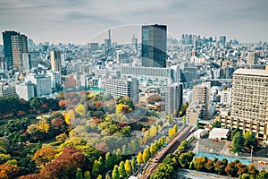 Koishikawa Korakuen Garden and modern buildings at autumn in Tokyo, Japan
