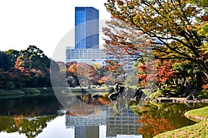 Koishikawa Korakuen Garden of Tokyo, Japan, During Autumn