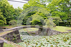 Koishikawa Korakuen Garden in Tokyo, Japan. It was built in the early Edo Period 1600-1867 at the