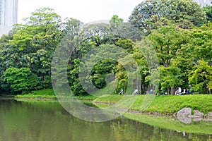 Koishikawa Korakuen Garden in Tokyo, Japan. It was built in the early Edo Period 1600-1867 at the