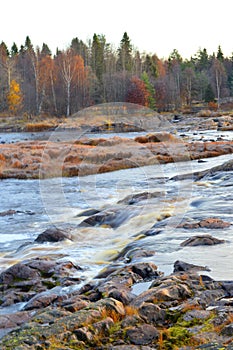 Koiteli rapid, Kiiminki river.  Flowing water, rocks along the river, autumn colors.