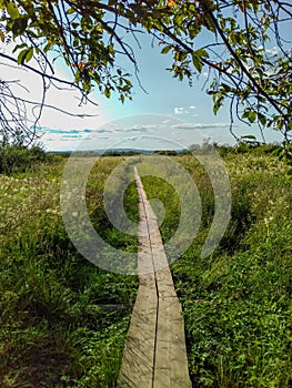 Koivusaari nature trail photo