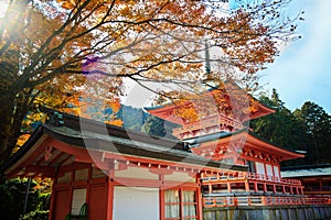 Kojyoin Tsukimido in Achi village, Nagano, Japan