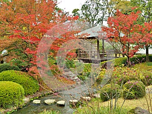 Koko-en Garden in autumn at Himeji, Hyogo Prefecture, Japan. photo