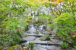 Koko-en Garden of Himeji City during Autumn Season