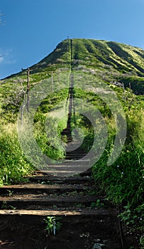 Koko Head hiking trail