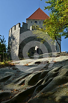 Kokorin castle detail