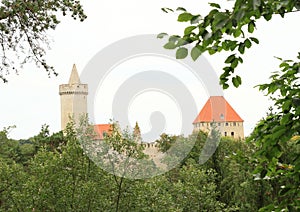 Kokorin castle