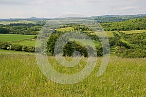 Kokorinsko,Czech republic