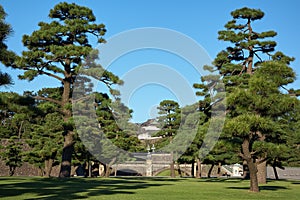 Kokyo Gaien National Garden. Tokyo. Japan photo