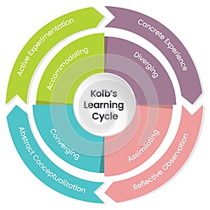 Kolb\'s Learning Cycle Infographic Vector Illustration