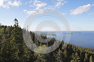 Koli