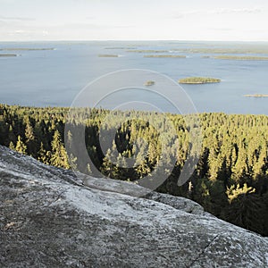 Koli