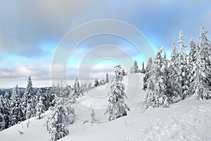 Koli National Park Kolin kansallispuisto Finland in winter, Europe