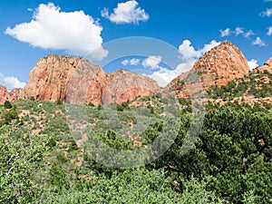 Kolob Landscape