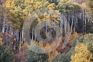 Kolob Terrace Autumn