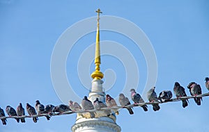 Kolomna, Russia - September, 2021:  Pigeons sit on electrical wires in the background Church of Saint John the Evangelist in