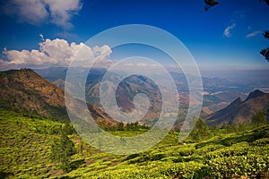 Kolukkumalai Tea Estate, Munnar, India