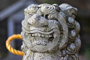 Komainu, or lion-dog, with shimenawa rope, Kanazawa, Japan