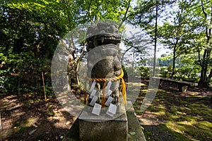 Komainu, or lion-dog, with shimenawa rope and shide, Kanazawa, Japan