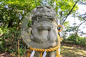 Komainu, or lion-dog, with shimenawa rope and shide, Kanazawa, Japan