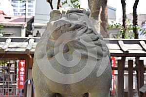 Portly Komainu Statue at Japanese Shrine photo