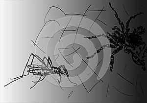 Komar and spider