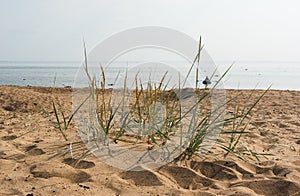 Komarovo beach of Gulf of Finland