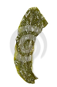 Kombu Breton seaweed photo