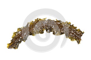 Kombu Royal seaweed