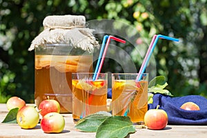 Kombucha drink in a glass jar and a glass with pink and blue straws, fermented apples, on a wooden table, on green leaf background