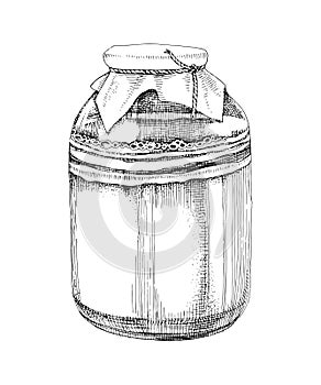 Kombucha drink in a glass jar vector