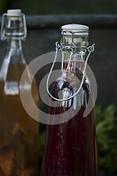 Kombucha - fermented fruit tea