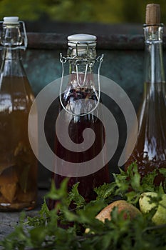 Kombucha - fermented fruit tea