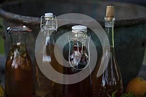 Kombucha - fermented fruit tea