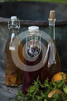 Kombucha - fermented fruit tea