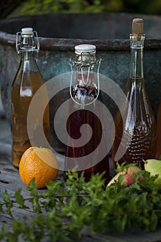 Kombucha - fermented fruit tea