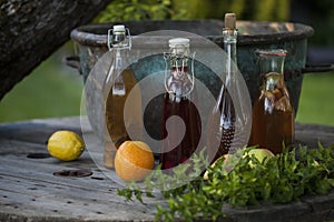 Kombucha - fermented fruit tea