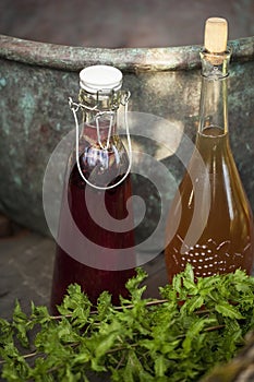 Kombucha - fermented fruit tea