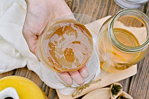 Kombucha, Hand holding scoby tea mushroom and ingredient. photo